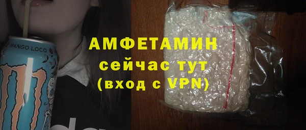 мет Алексин