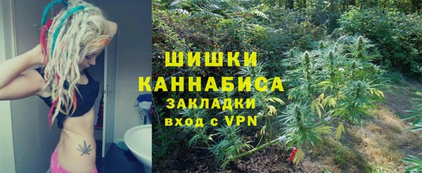 стаф Алзамай