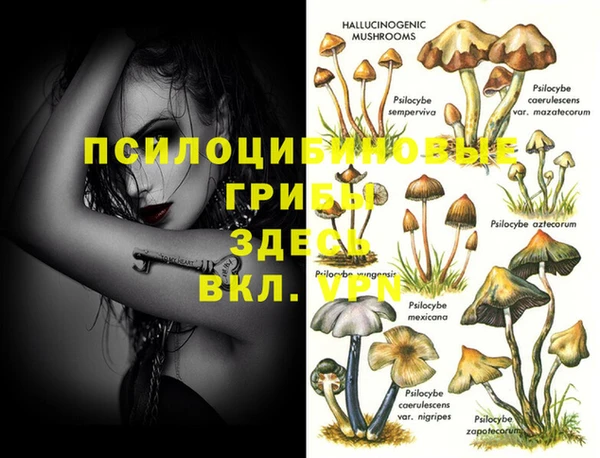мет Алексин