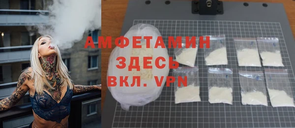 стаф Алзамай