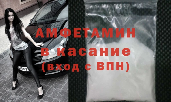 стаф Алзамай