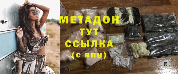 стаф Алзамай
