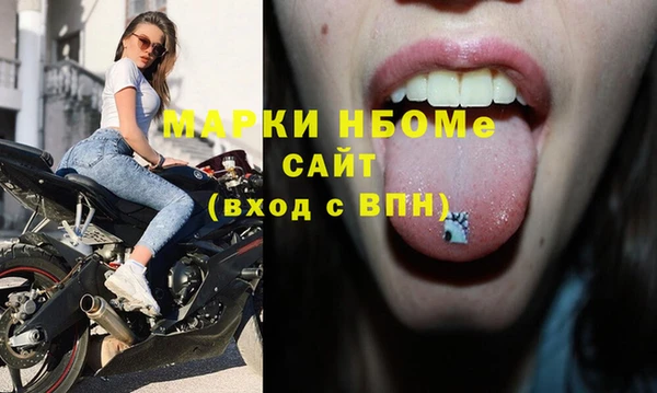 мет Алексин