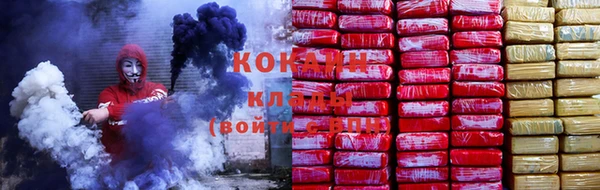 мет Алексин