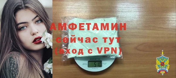 мет Алексин