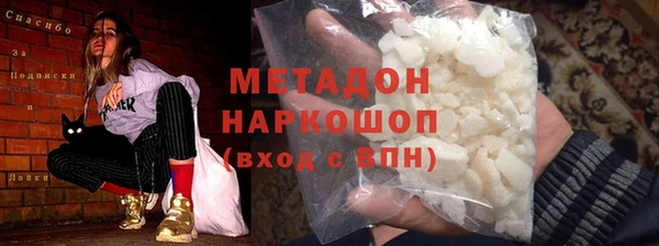 стаф Алзамай