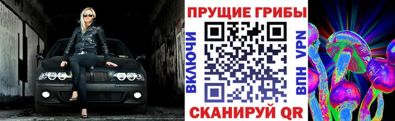 Галлюциногенные грибы Cubensis  наркошоп  Жирновск 